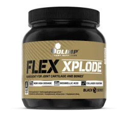 Olimp Flex Xplode 504 гр